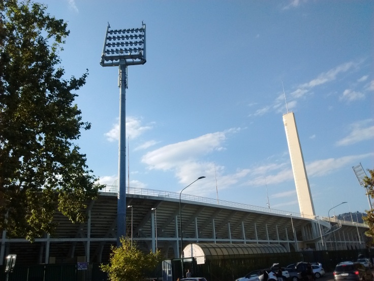 Stadio Artemio Franchi Rockin'1000 luglio 2018